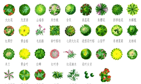 平面樹素材圖片