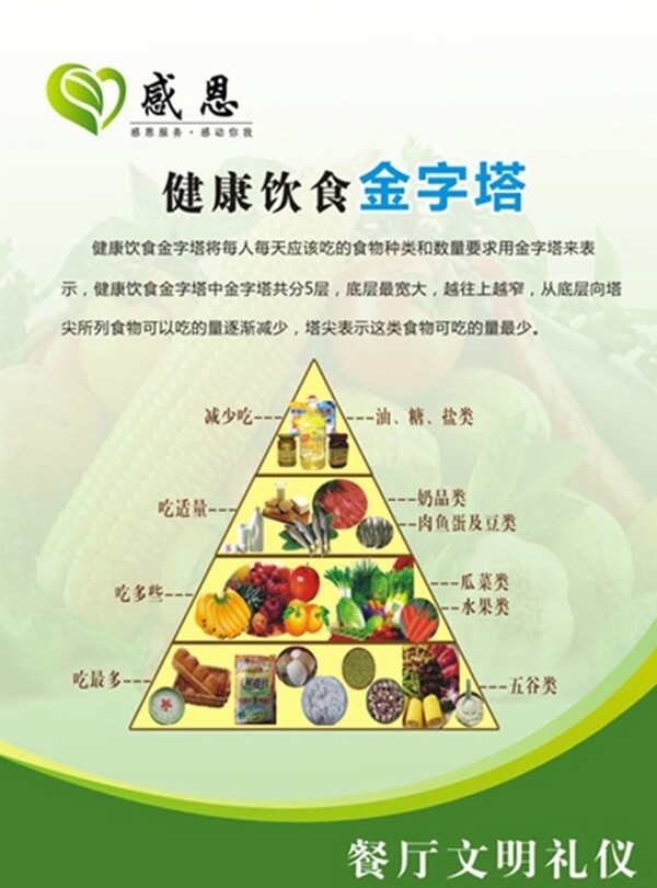 健康飲食金字塔版面