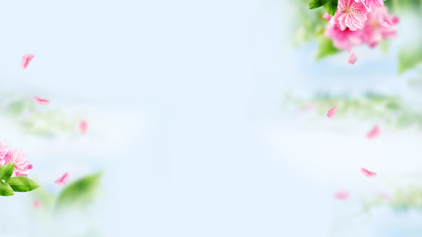 清新粉色花朵banner背景素材