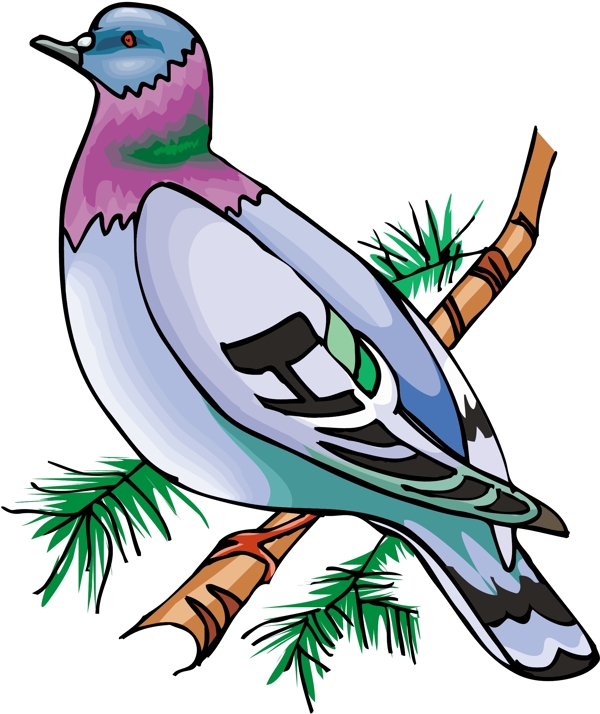 各種鳥類鳥動(dòng)物矢量素材EPS格式1594