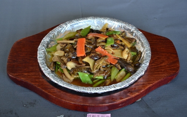 鐵板牛肝菌圖片