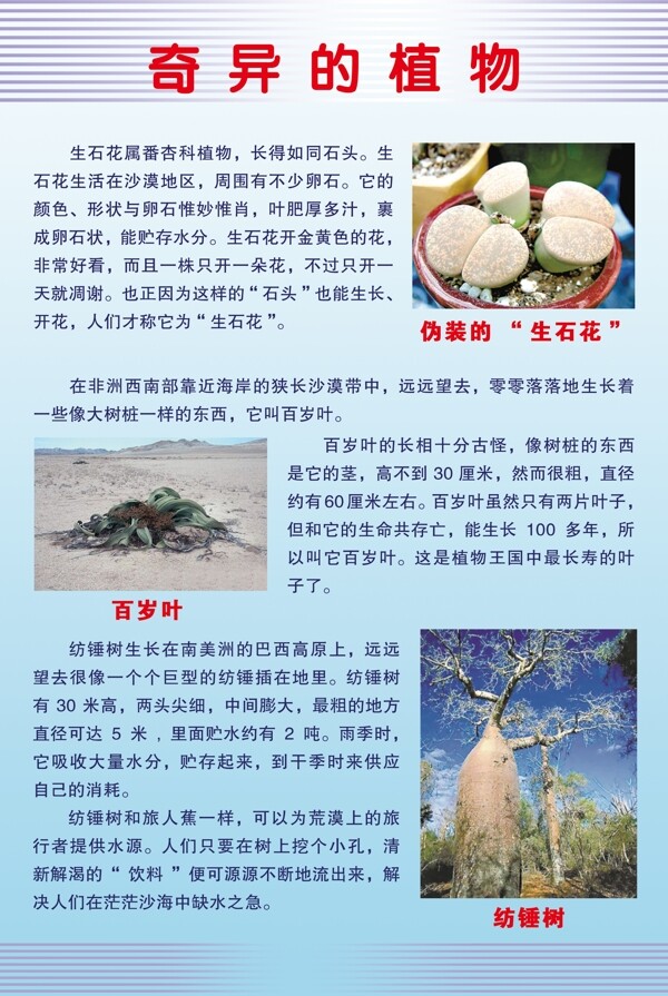 學校展板圖片