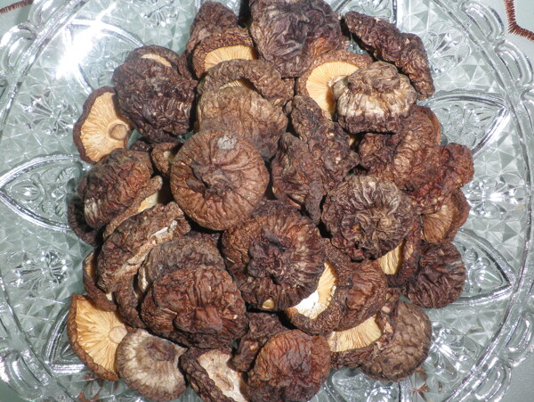 黑面菇圖片