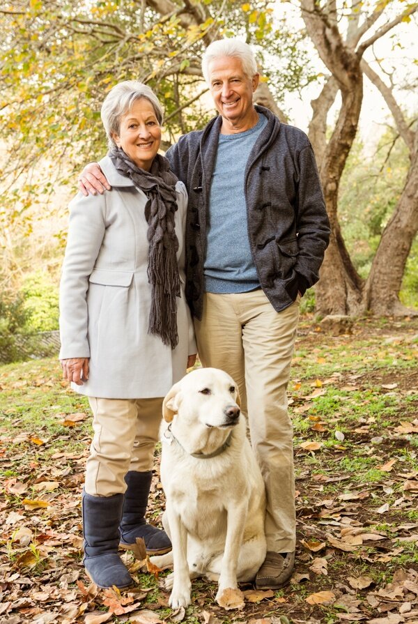 秋天枫树林的老年夫妻和狗图片