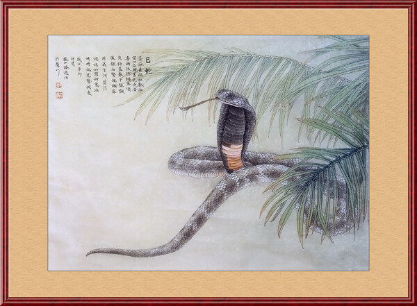 工筆畫蛇圖片