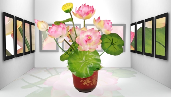 荷花海報(bào)桂源光纖花