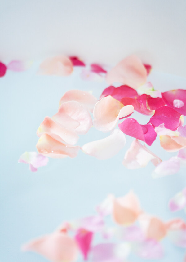 玫瑰花瓣