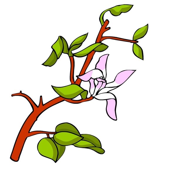 花卉古典插畫