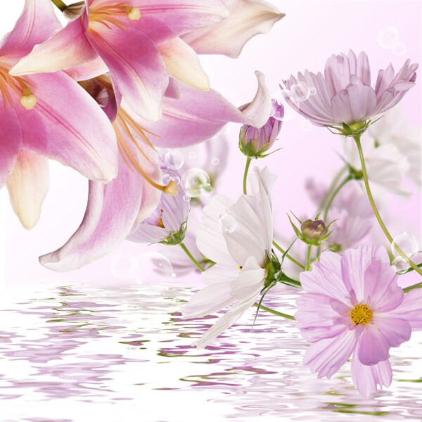 梦幻花卉背景图片