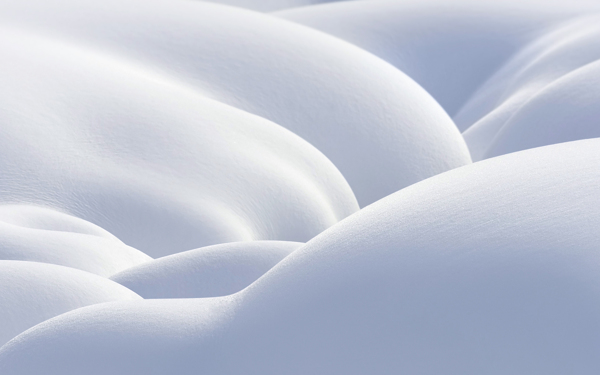 雪地雪景