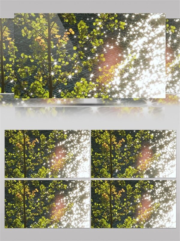 波光粼粼的河面树叶视频素材