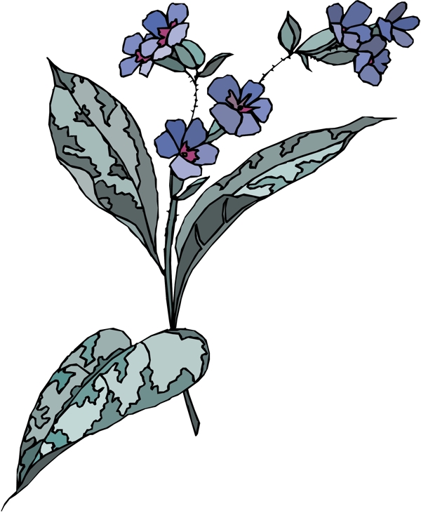 花朵花草鮮花矢量EPS格式1504