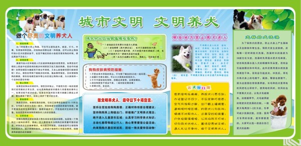 文明養(yǎng)犬