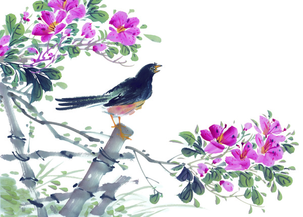 鸟紫色小鸟在树上花开富贵