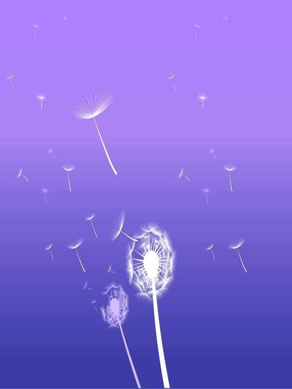 天凌幻彩花紋移門圖大全