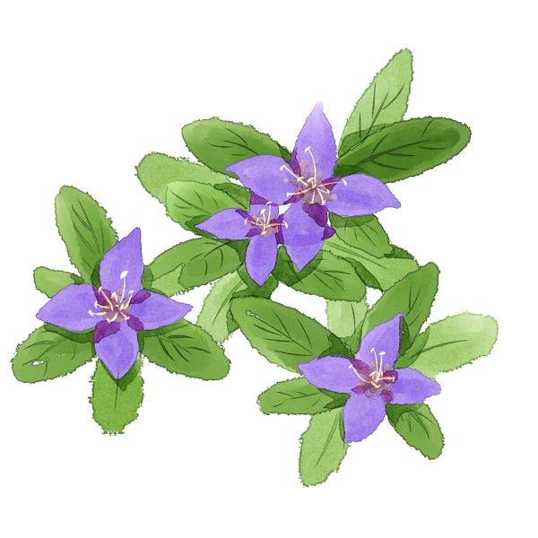 手绘清新紫色花卉插画