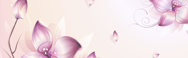 質(zhì)感立體花瓣主題背景
