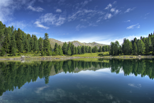 樹植物水風(fēng)景