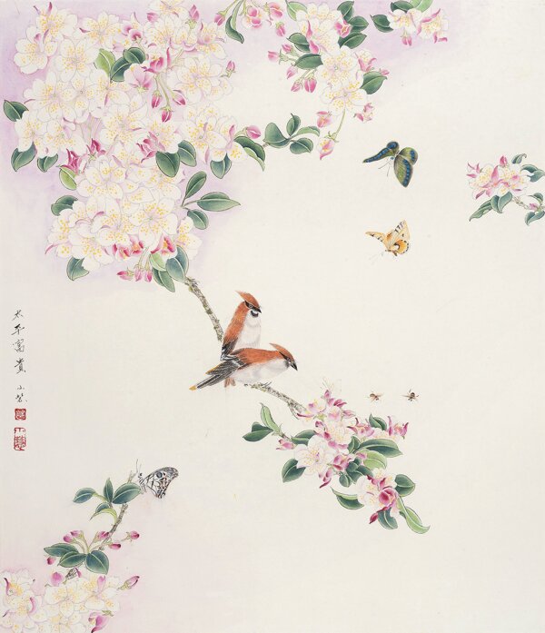花鳥雙禽圖片