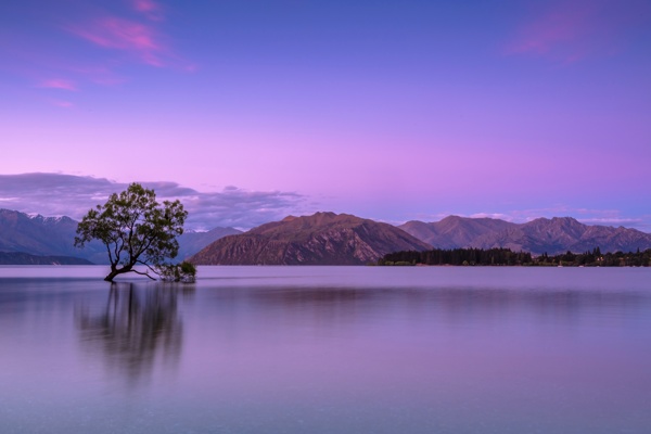 山水風景照