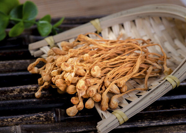 茶树菇美食食材海报素材图片