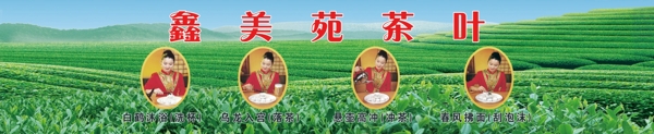 茶園八圖1圖片
