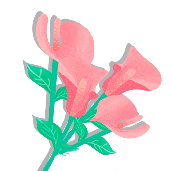 手绘红掌植物花卉设计