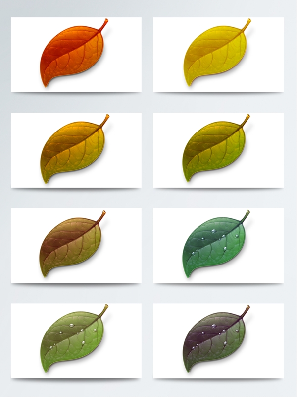 不同季节高清树叶图标素材