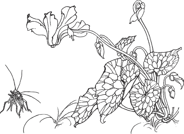 花卉
