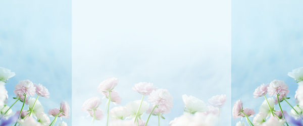 清新白色花朵banner背景素材