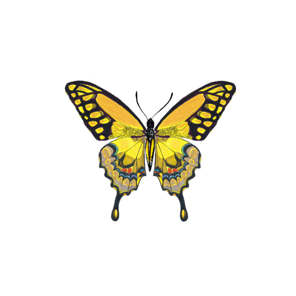 位圖插畫(huà)時(shí)尚插畫(huà)動(dòng)物插畫(huà)藝術(shù)效果免費(fèi)素材