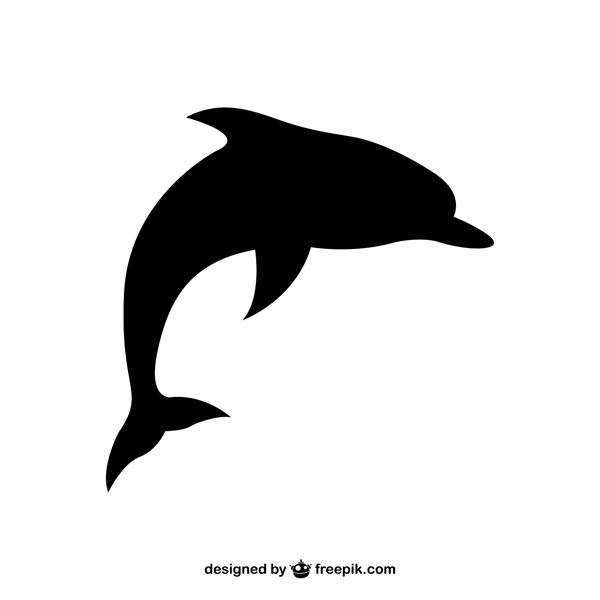海豚的轮廓