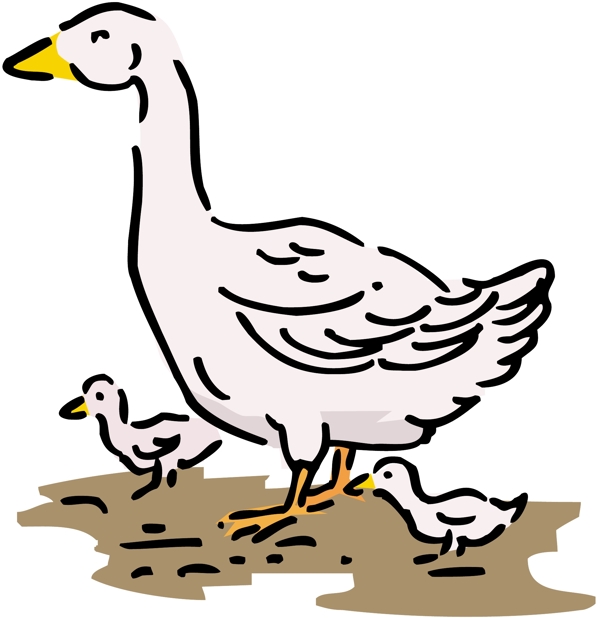 各種鳥類鳥動物矢量素材EPS格式0946