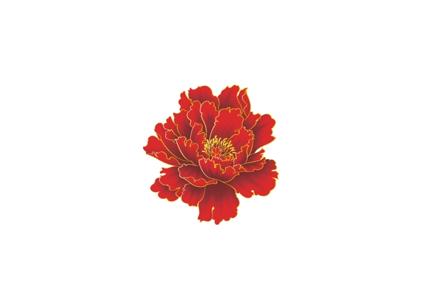 牡丹