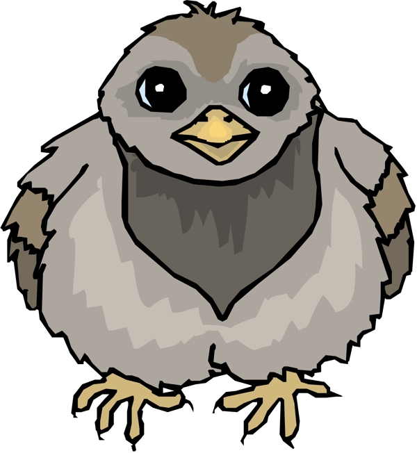 各種鳥類鳥動(dòng)物矢量素材EPS格式1322