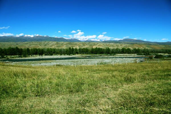 山上池塘草原圖片圖片