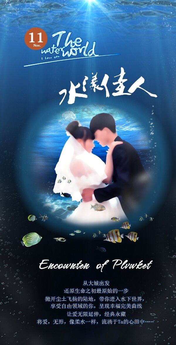 海底展架