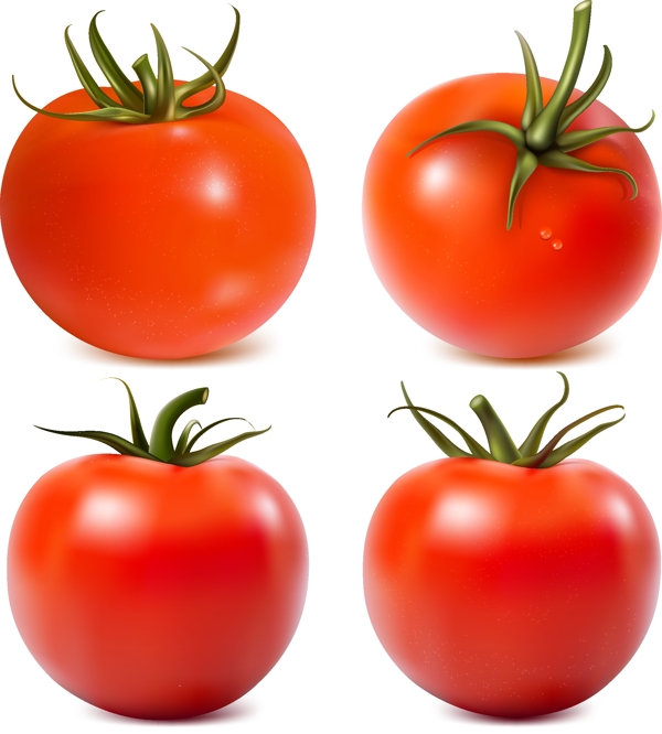 蔬菜西红柿番茄
