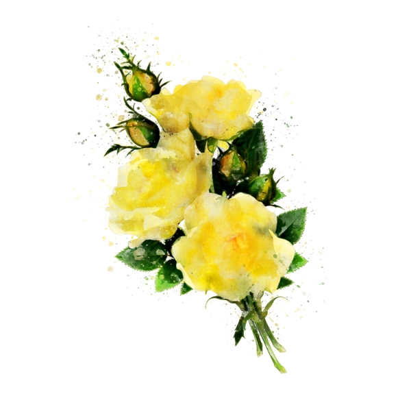抽象手绘黄色玫瑰植物水彩元素
