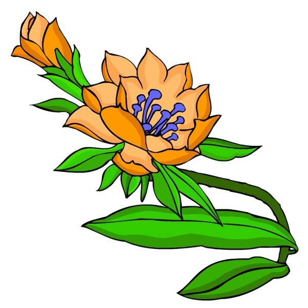 花卉古典插畫