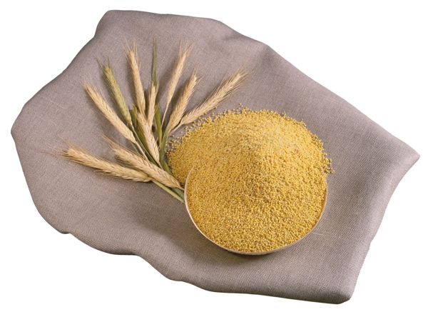 米農(nóng)業(yè)糧食圖片