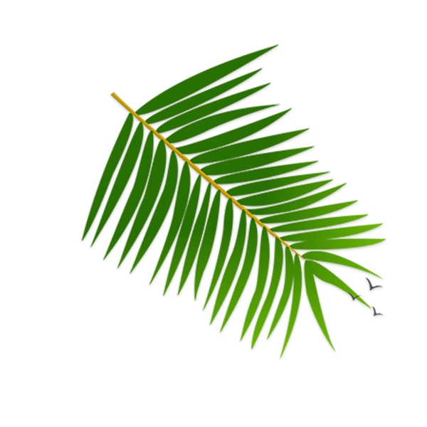 綠色植物
