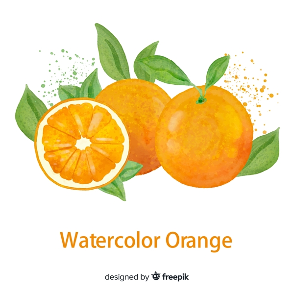 彩绘新鲜橙子图片