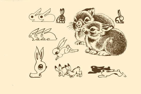 動物圖案兔子圖片