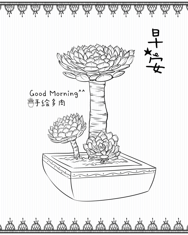 多肉植物