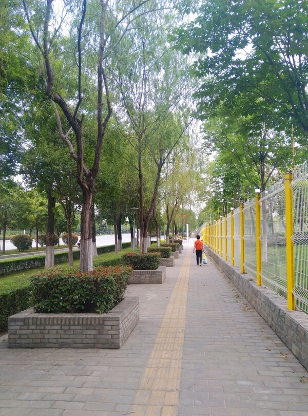 公園風景