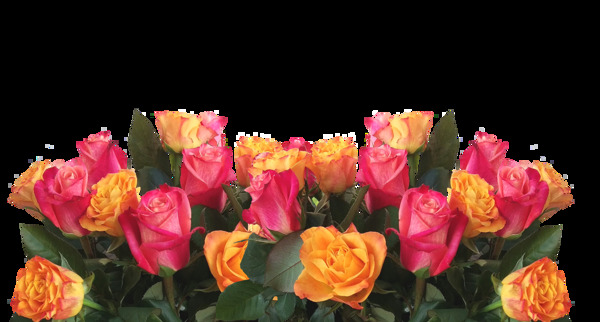玫瑰花免摳素材