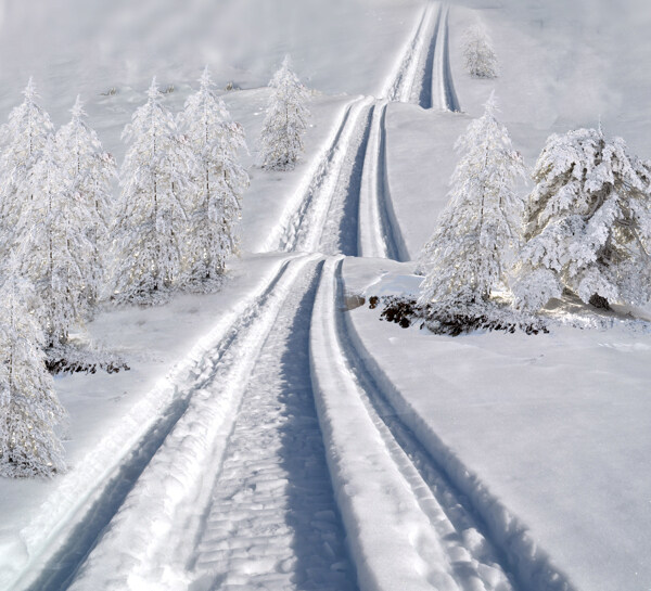 美丽的雪地风景图片