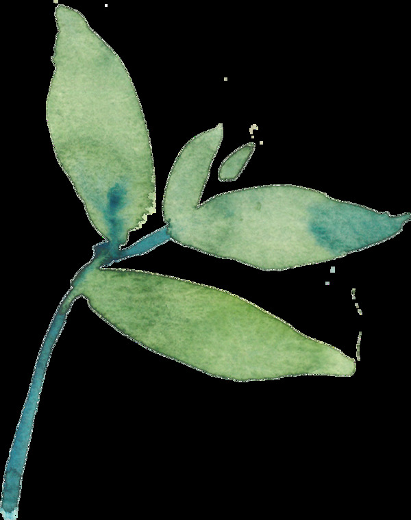漫綠枝葉透明素材