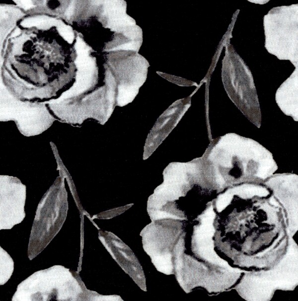 黑白花朵22图片
